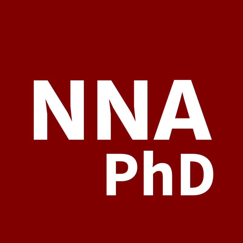 Logo for Dr. Naim N. Atiyeh's personal website with a maroon background with white text. The text reads in capital letters, N.N.A., followed by his title, PhD.